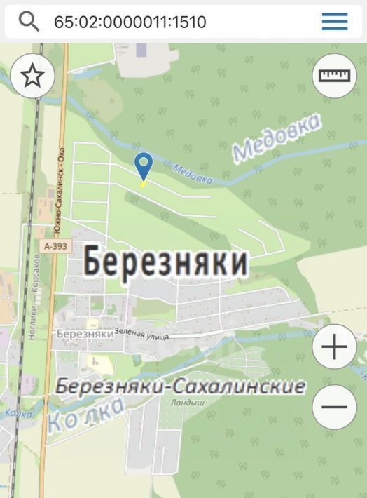 земля г Южно-Сахалинск с Березняки фото 2