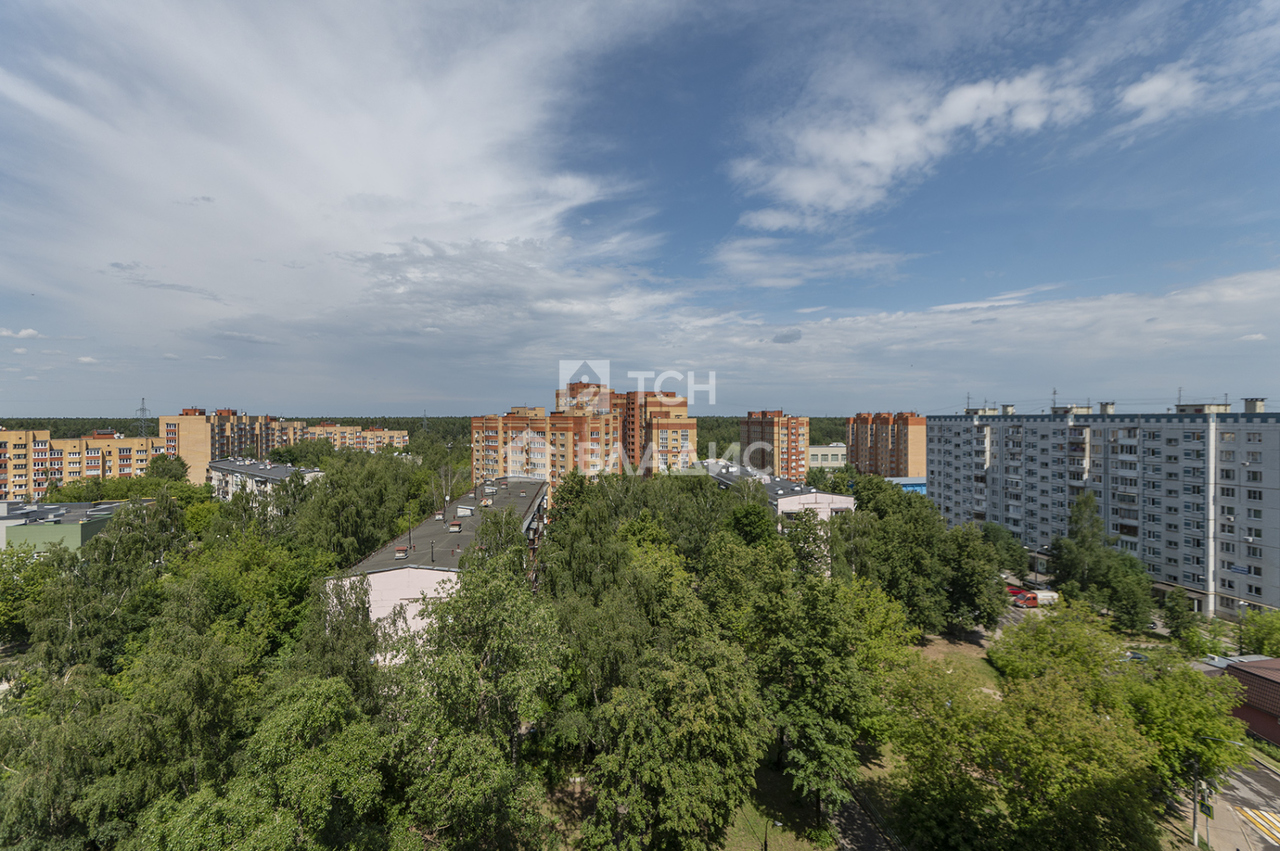 квартира городской округ Мытищи п Пирогово ул Фабричная 13 фото 23