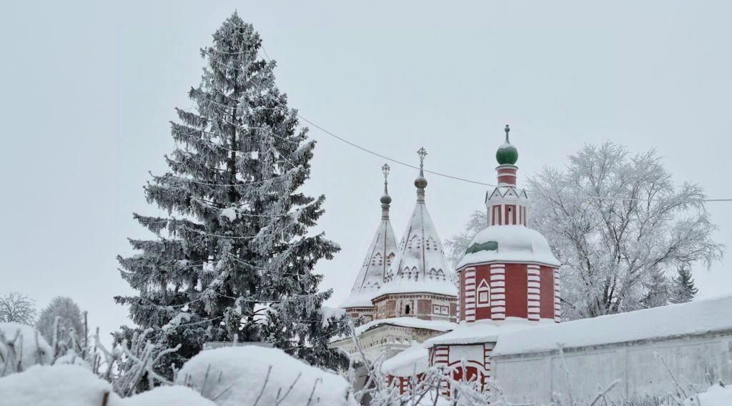 квартира р-н Суздальский г Суздаль б-р Всполье 5 фото 16