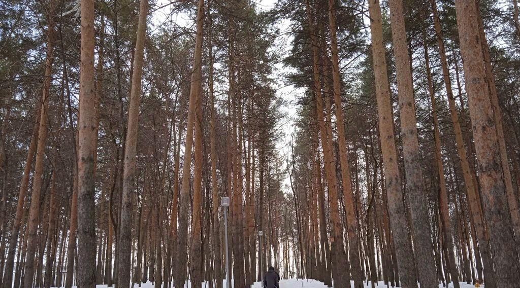 квартира г Уфа р-н Советский ул Менделеева 152/4 фото 20