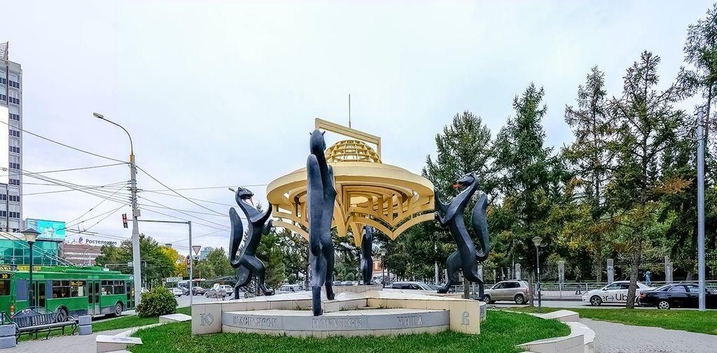 квартира г Новосибирск метро Площадь Гарина-Михайловского ул Челюскинцев 14/1 фото 26