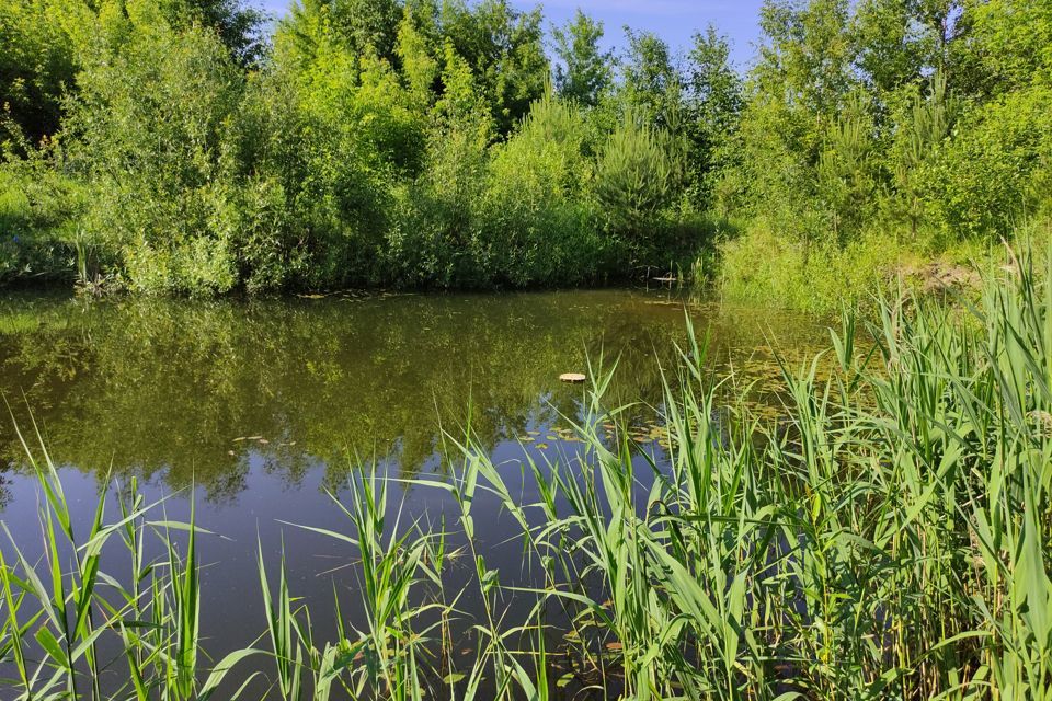 земля р-н Смоленский фото 1