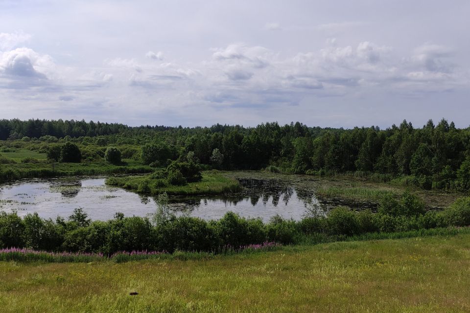 земля р-н Смоленский фото 5