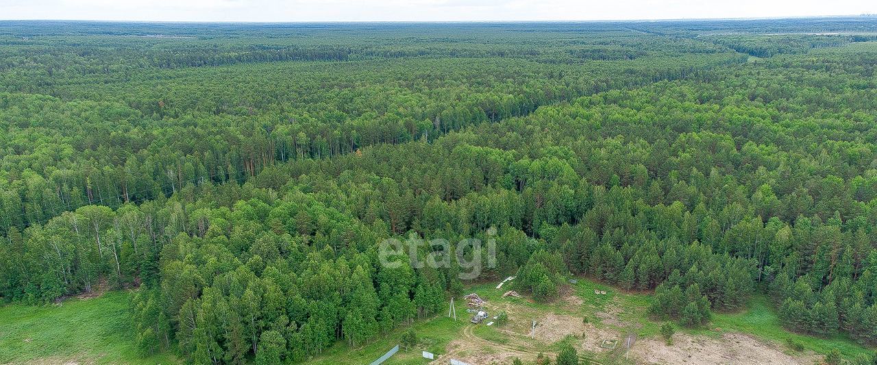 земля р-н Нижнетавдинский с Тюнево территория Ямановское фото 3