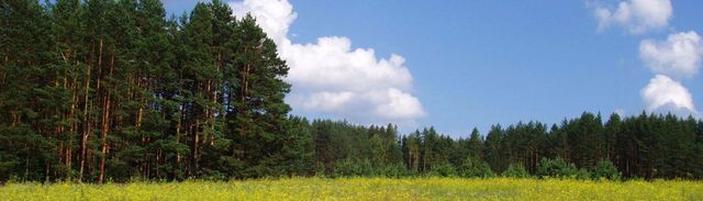 рп Радищево Октябрьское сельское поселение фото