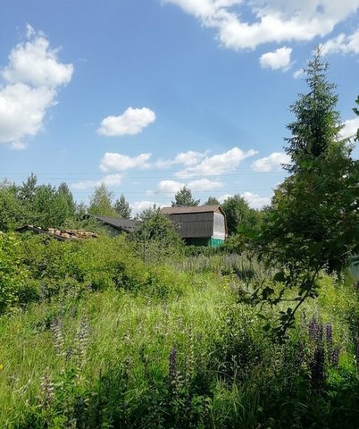 городской округ Орехово-Зуевский 83, садовое товарищество Малинка фото