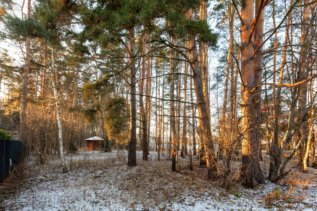 дом городской округ Истра д Чесноково фото 13