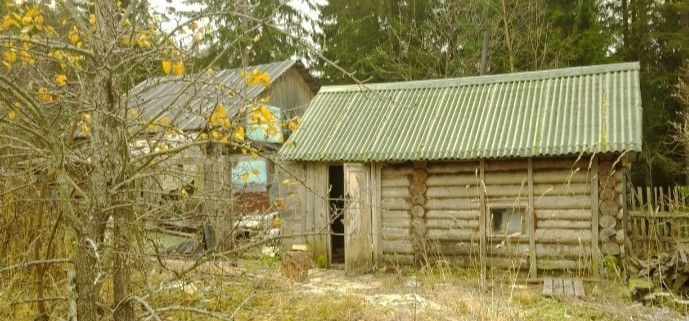 дом р-н Питкярантский фото 3