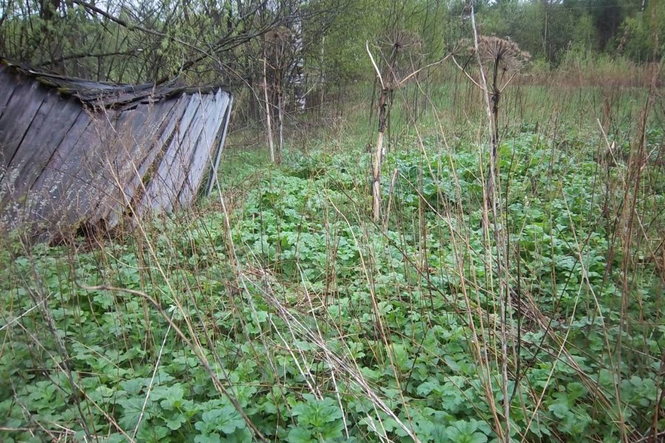 земля р-н Высокогорский фото 2