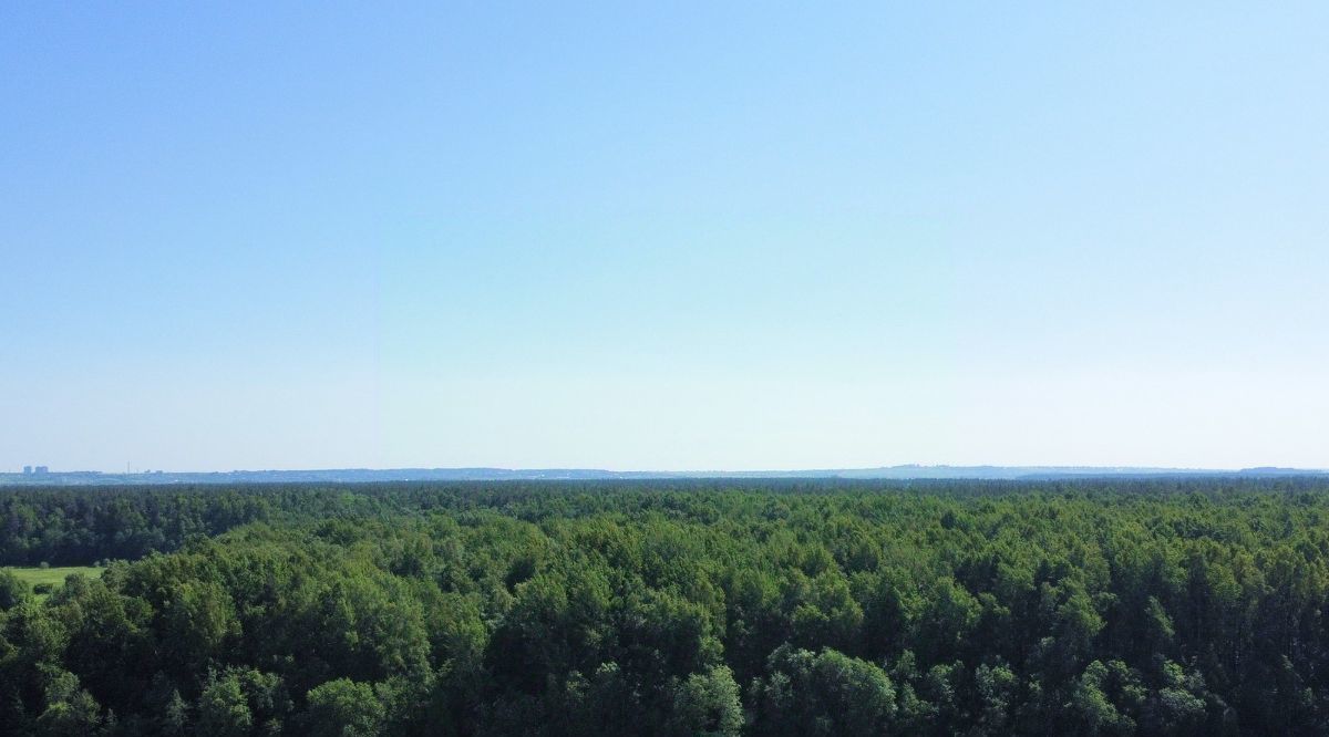 квартира р-н Ломоносовский п Аннино Новоселье городской поселок, Проспект Ветеранов, Лес Арт жилой комплекс фото 22