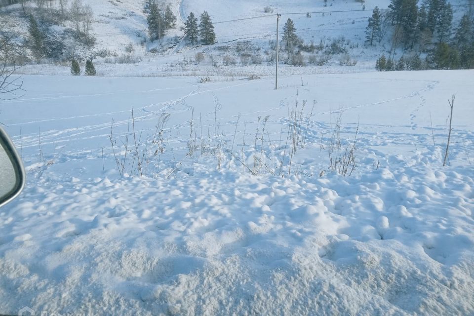 земля р-н Чемальский фото 3