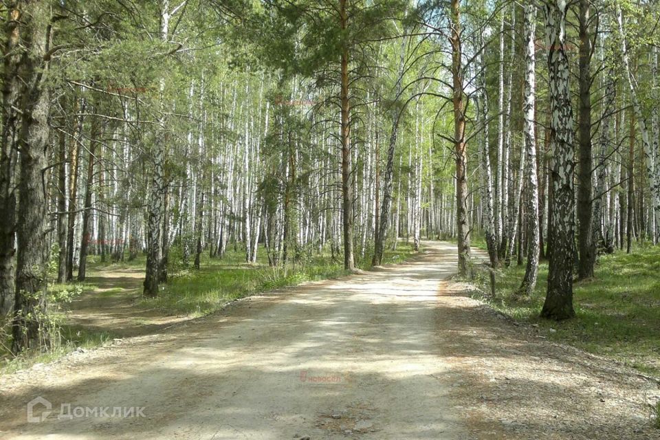 земля г Екатеринбург р-н Чкаловский фото 1