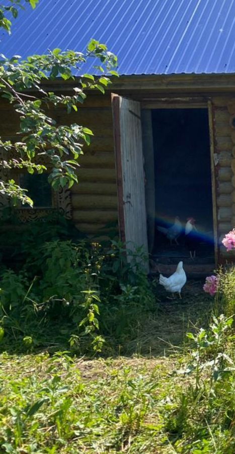 дом р-н Нижнекамский снт Птицевод Красноключинское сельское поселение, Нижнекамск фото 17