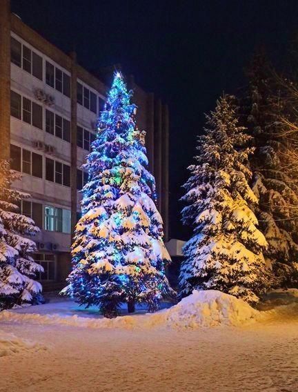 квартира г Рязань р-н Советский Солотча ул Почтовая 4/2 фото 16