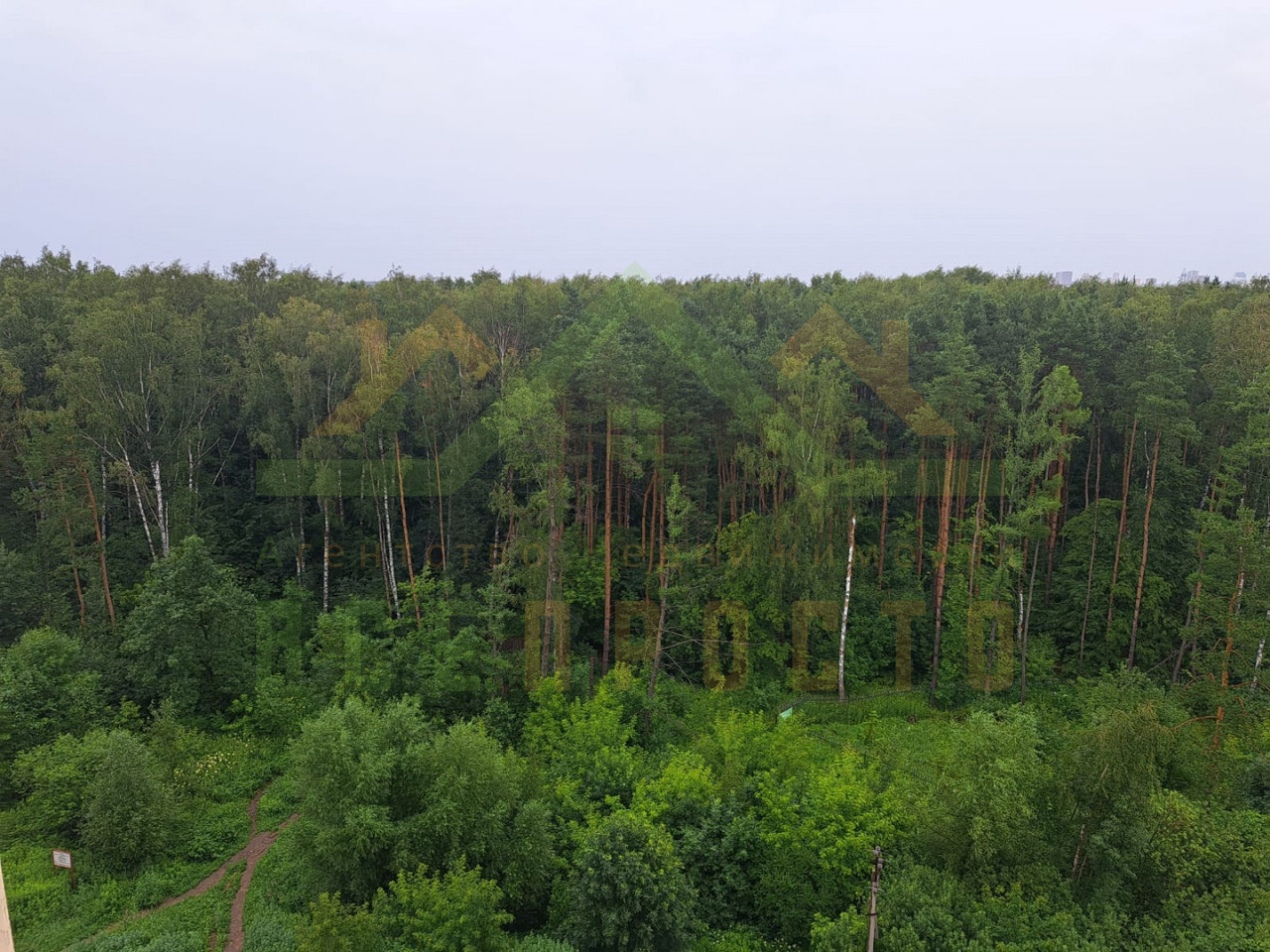 квартира городской округ Одинцовский с Немчиновка ул Связистов 6 фото 9