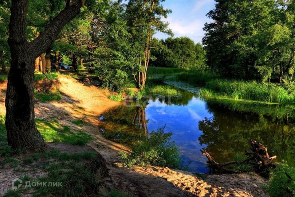 земля р-н Кстовский фото 2