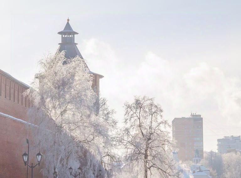 квартира г Нижний Новгород Горьковская пл Минина и Пожарского 6 фото 10