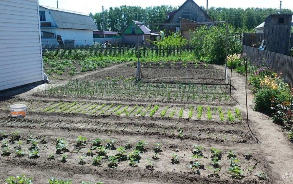 дом р-н Карасукский г Карасук ул Народная 1 фото 1