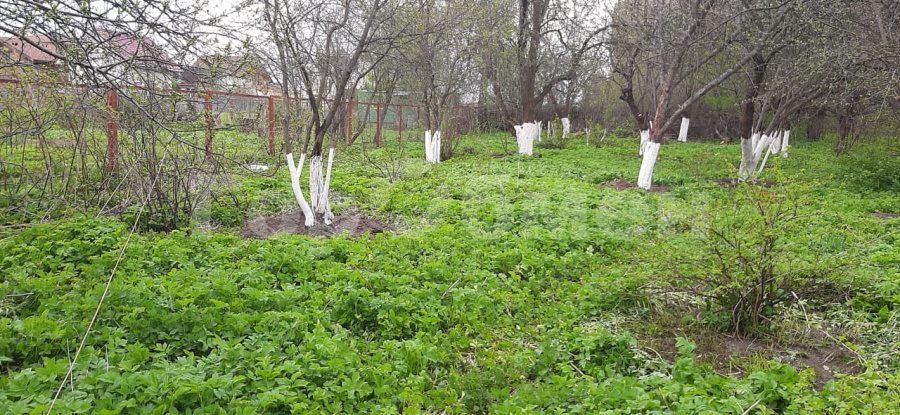 земля городской округ Одинцовский с Лайково д., 45 фото 6