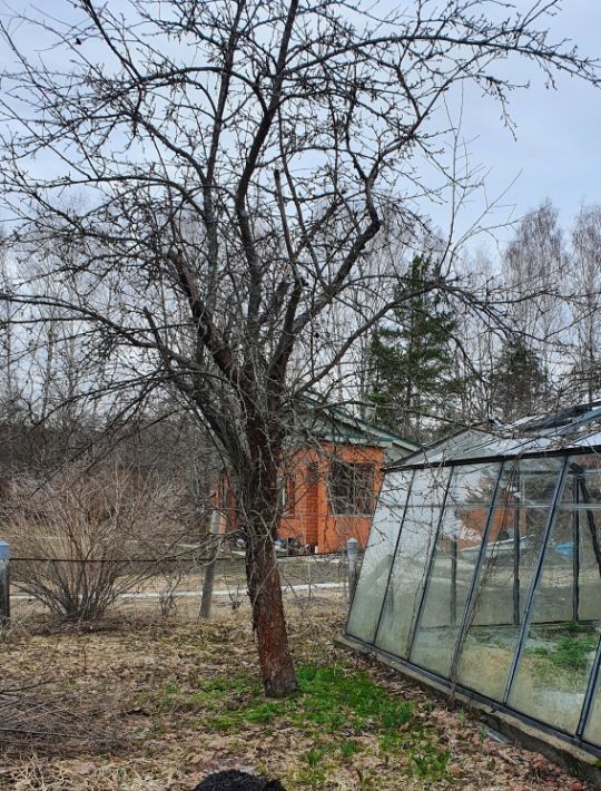 дом городской округ Раменский д Пласкинино снт Лесное 9 фото 17