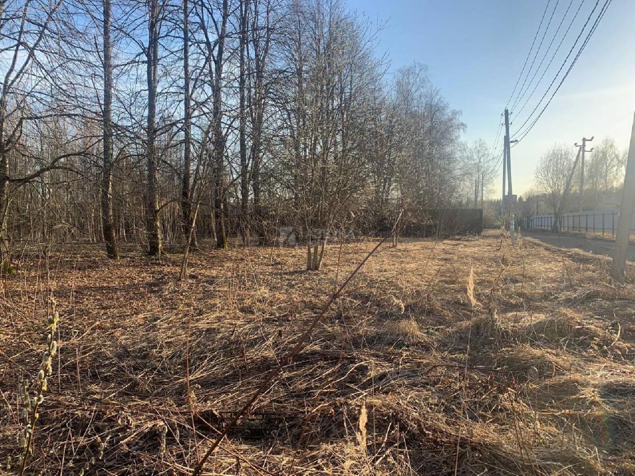 земля городской округ Одинцовский д Белозерово ул Садовая фото 4