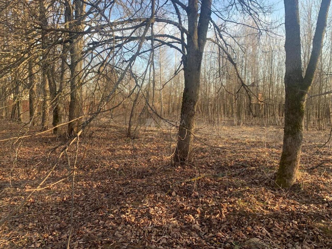 земля городской округ Одинцовский д Белозерово ул Садовая фото 9