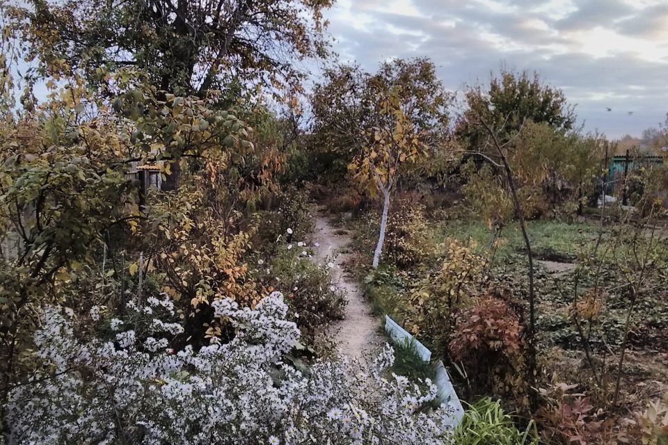 Село промысловка астраханская область