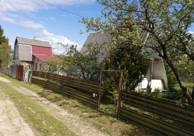 Хохловское сельское поселение, 222, Смоленск, Белые росы фото