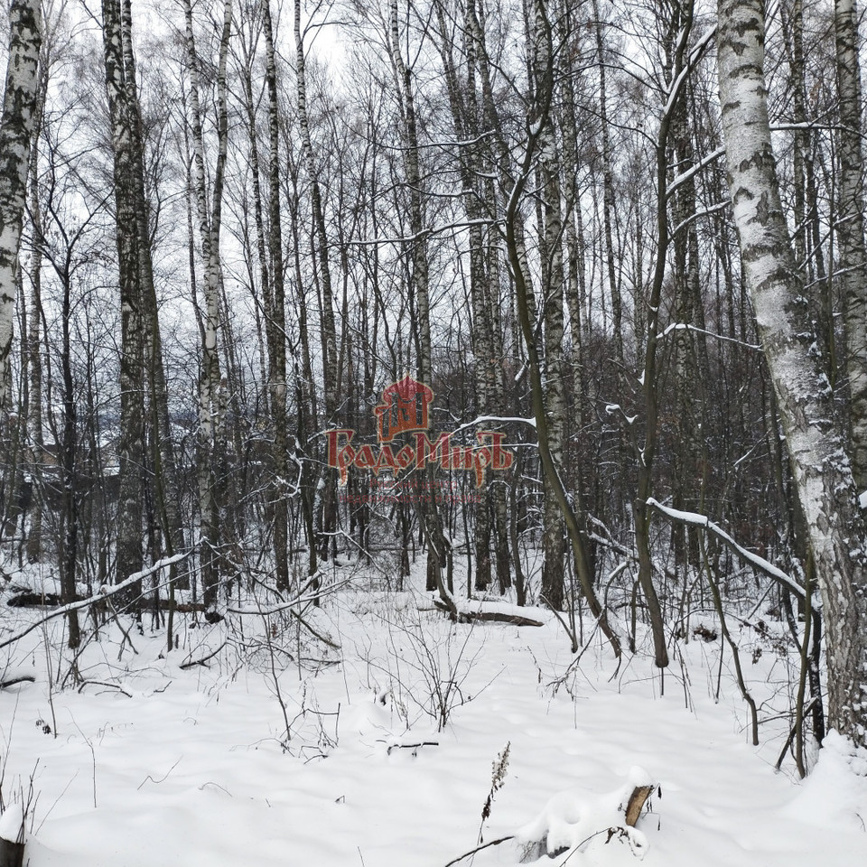 земля городской округ Дмитровский д Кончинино фото 3