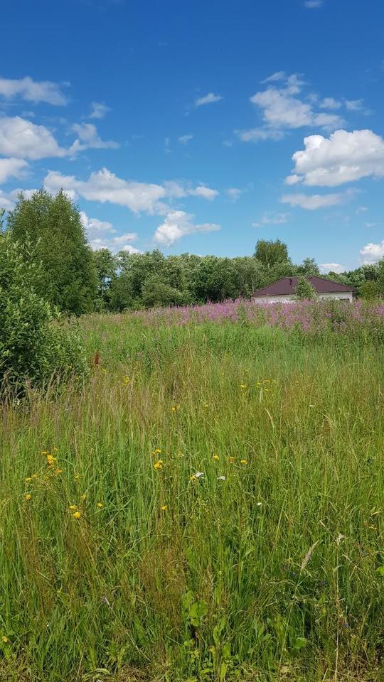 земля городской округ Дмитровский п Горки Костинское с/п фото 7