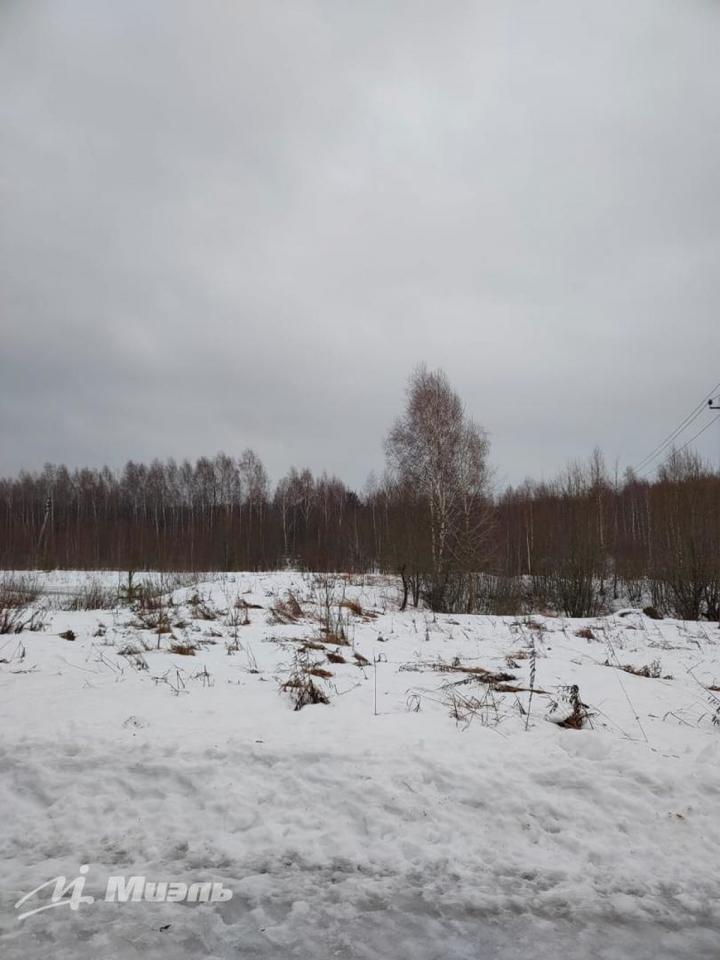 земля городской округ Волоколамский п Шитьково фото 3