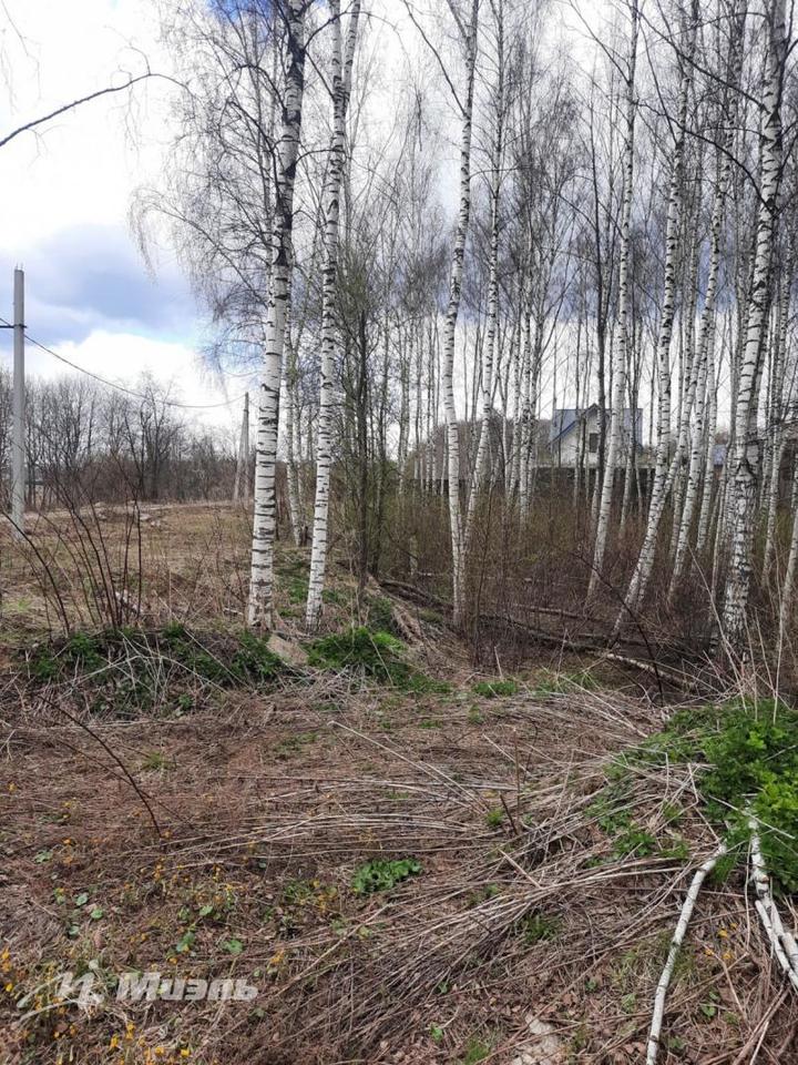 земля городской округ Солнечногорск п Лунёво ЖК «Лунево» пос фото 5