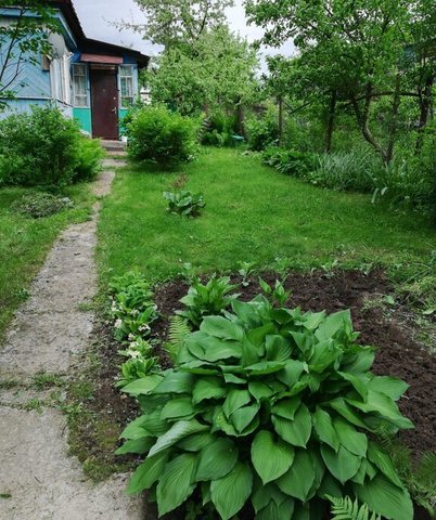 городской округ Чехов д Сергеево фото