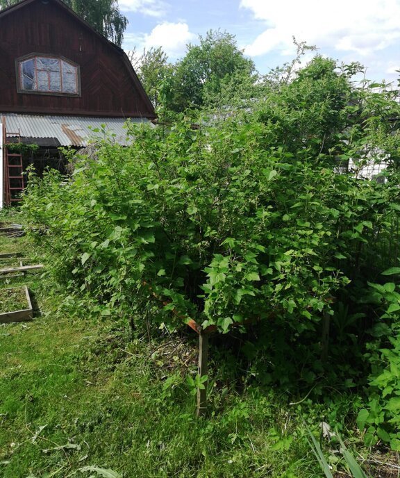 дом городской округ Чехов д Сергеево фото 3