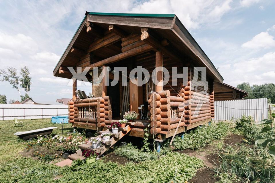 дом р-н Новосибирский фото 3