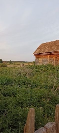 земля р-н Зеленодольский с Нурлаты ул Советская фото 2