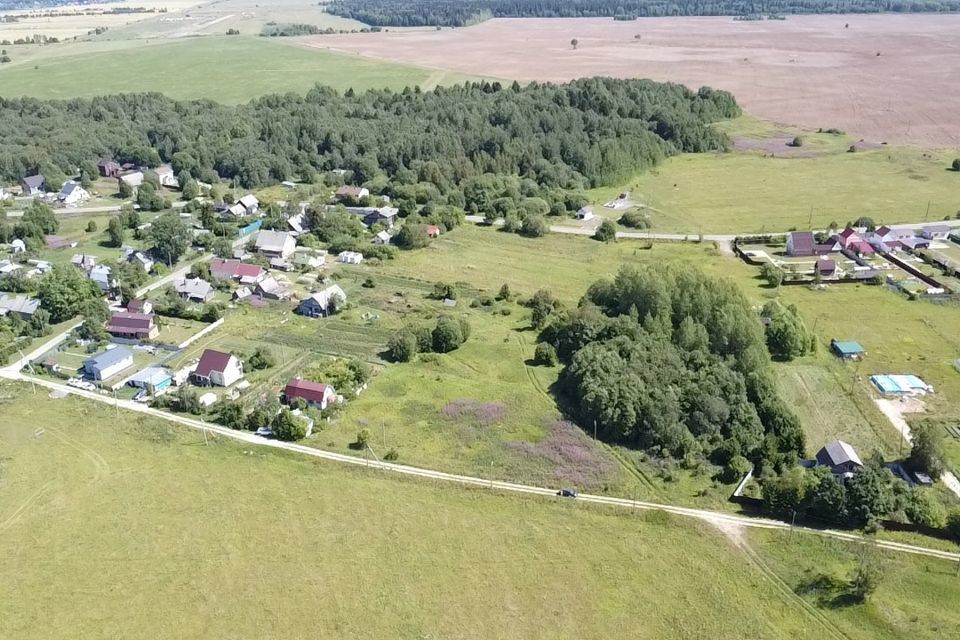 земля р-н Волосовский фото 3