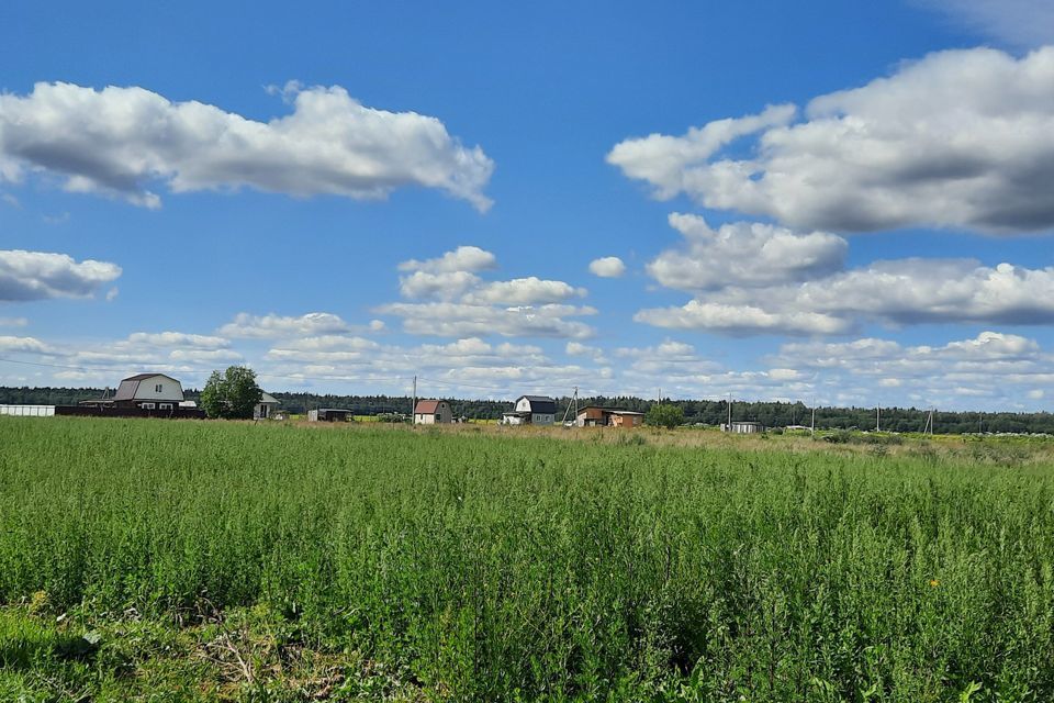 земля р-н Волосовский фото 5