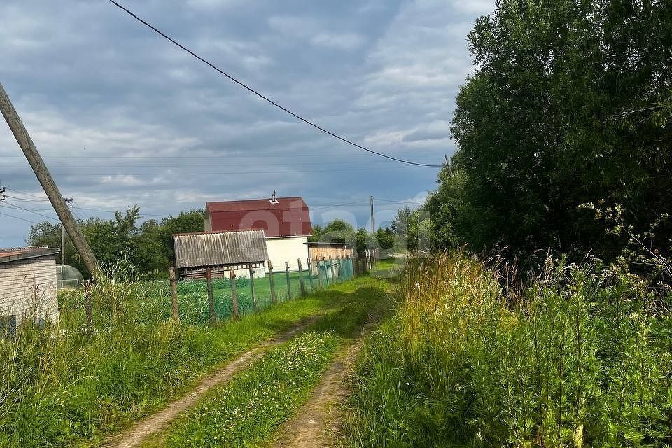 земля р-н Волховский фото 7