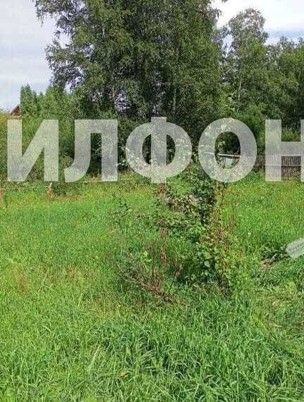 земля р-н Новосибирский с Новокаменка фото 2