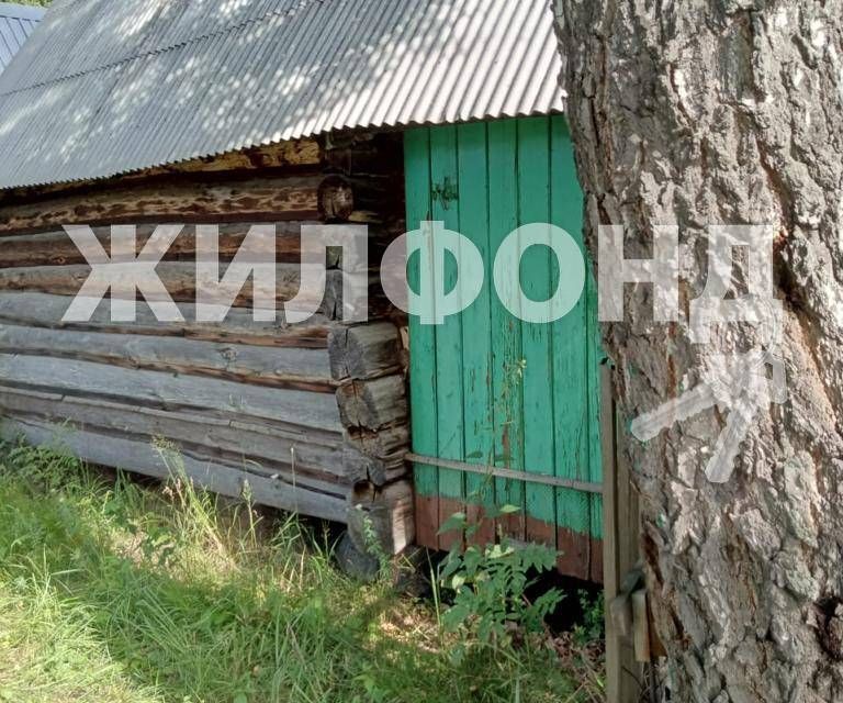 земля р-н Новосибирский с Новокаменка фото 8