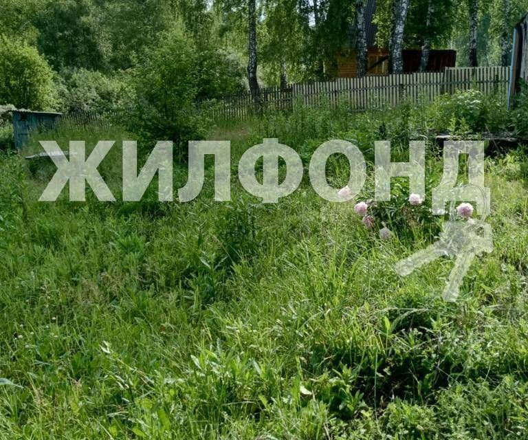 земля р-н Новосибирский с Новокаменка фото 10