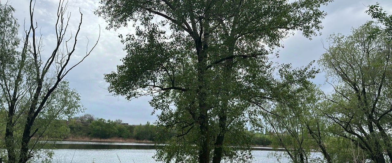 земля р-н Энгельсский с Шумейка ул Центральная 1 Красноярское муниципальное образование фото 1