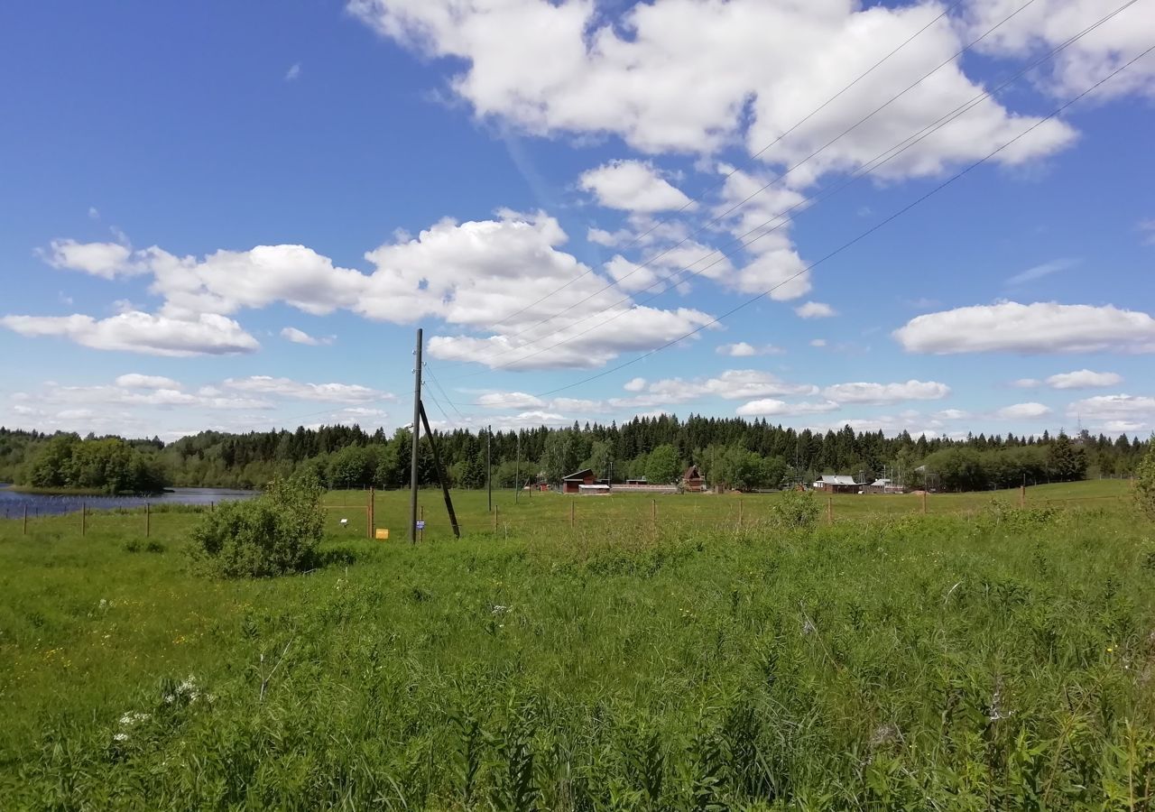 земля р-н Бологовский д Большое Клещино Новгородская область, Боровичи фото 4