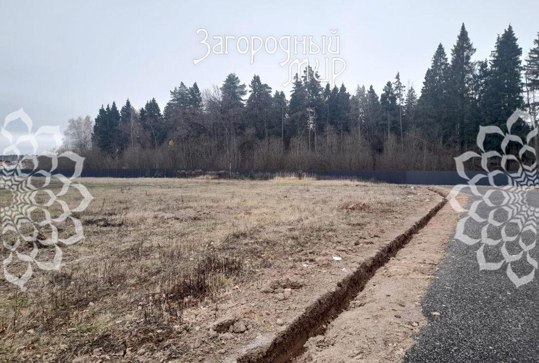 земля городской округ Солнечногорск д Голиково фото 9