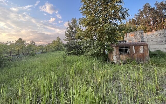 земля р-н Рамонский снт Дубрава ул Цветочная Новоживотинновское сельское поселение фото 4