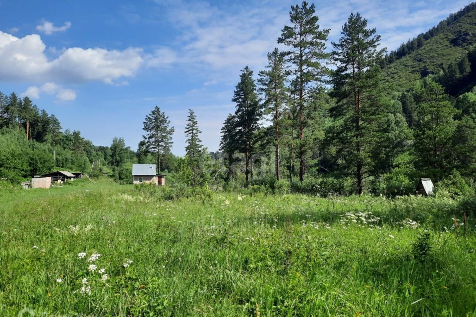 земля р-н Алтайский фото 4