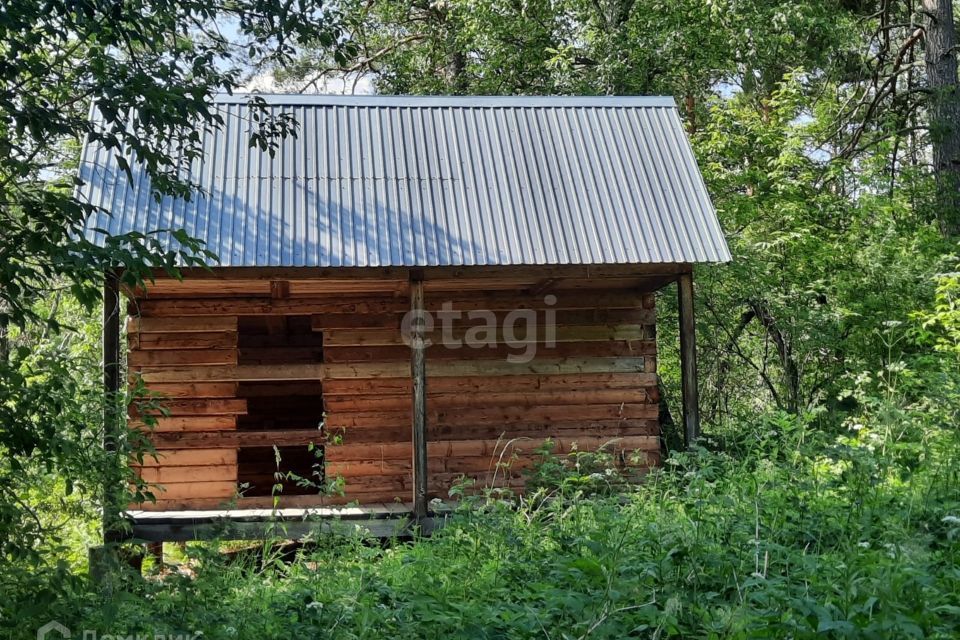 земля р-н Алтайский фото 8