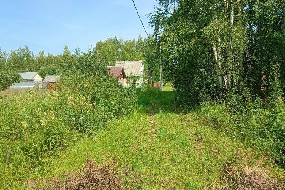 земля р-н Костромской снт тер.Голубой залив фото 2