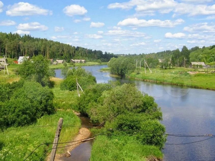 земля р-н Бабаевский фото 3